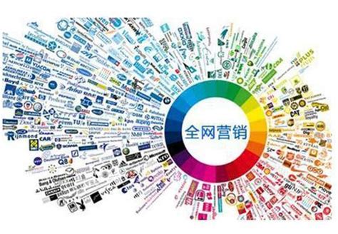 網(wǎng)絡(luò)推廣營銷實(shí)戰(zhàn)全攻略與推廣員高效執(zhí)行指南